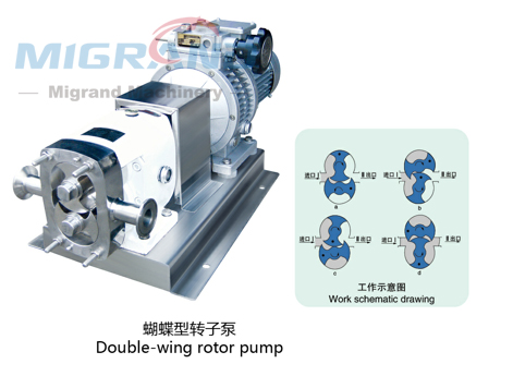 GD-150A Feeding pump (rotor pump)-1 Pompa pengumpan GD-150A (pompa rotor)-1