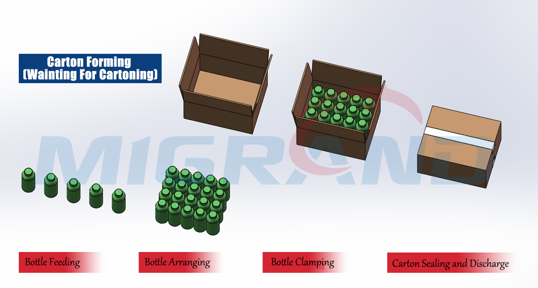 Skema Pengepakan Botol